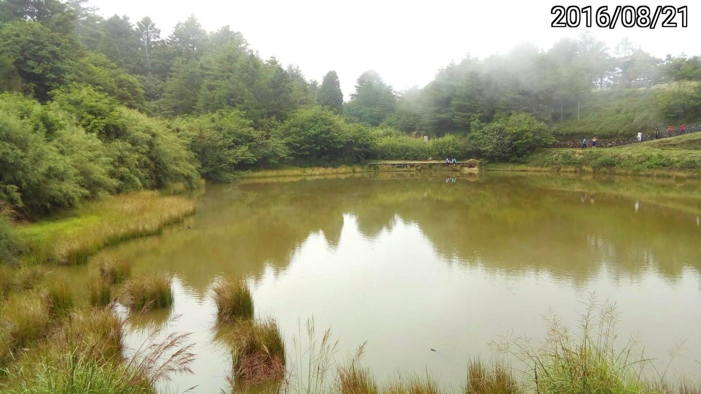 台中 大雪山森林遊樂區 天池